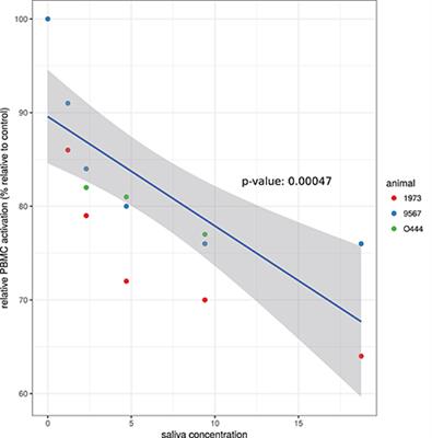 Immunomodulatory Effects of Amblyomma variegatum Saliva on Bovine Cells: Characterization of Cellular Responses and Identification of Molecular Determinants